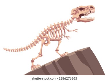 Paleontological museum interior element. Prehistoric dinosaur skeleton. Fossils and archaeological discoveries. Historical artefacts on pedestals. Vector science
