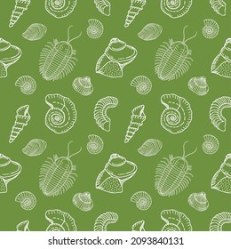 Paleontological seamless pattern, brachiopods, nautilus, trilobite, marine gastropods, cephalopods. Vector
