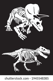 Paleontological set of dinosaur skulls and skeletons on black background,vector elements