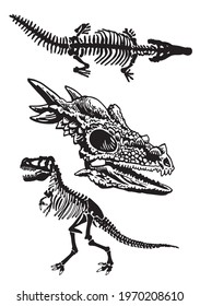 Paleontological set, graphical skeletons of dinosaurs on white background,vector fossils silhouettes