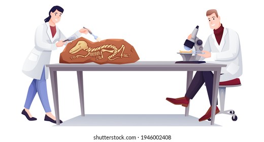 Paleontologists doing research with fossils in lab. People studying extinct dinosaur bones in laboratory vector illustration. Man with microscope, woman near fossil