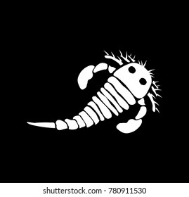 paleontology of fossils