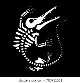 paleontology of fossils