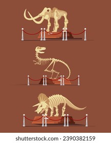 Paleontology museum with dinosaur fossils vector illustration. Cartoon paleontological exhibition with prehistoric dino skeletons. Historical artefacts and sculls on pedestals. Science concept.