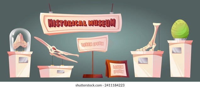 Paleontology museum exhibits set isolated on background. Vector cartoon illustration of dinosaur egg, skull, skeleton bones on stands under glass cover, prehistoric animal remnants, science exhibition