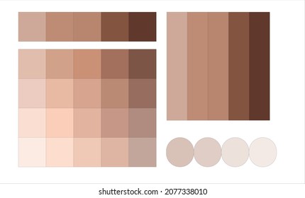 palette of beige, chocolate shades of body skin color