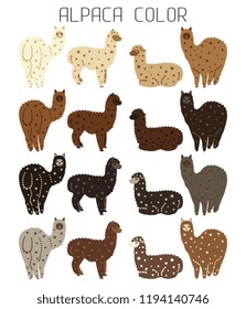 Palette of natural colors of Alpaca wool. Animal from Peru. For manufacturers and sellers of wool, yarn, fabrics, blankets and clothing from alpaca. Cartoon style