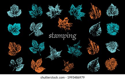 Palette of various arrows. Arrows for manicure. Trendy manicure, beautiful different arrows. arrow vertical line set isolated on dark.