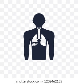 Palindromic rheumatism transparent icon. Palindromic rheumatism symbol design from Diseases collection. Simple element vector illustration on transparent background.