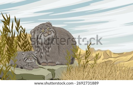 Pallas's cat and her kitten are sitting on a large stone in a desert steppe with sand and dry grass. Wildlife of Asia. Realistic vector landscape.
