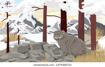 Pallas's cat stands on a stone in a mountain valley. Wild animals of Asia in winter. Realistic vector landscape