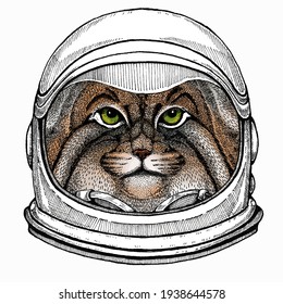 Pallass cat. Vector portrait, wild cat head, wild cat face. Astronaut animal. Vector portrait. Cosmos and Spaceman. Space illustration about travel to the moon. Funny science hand drawn illustration.