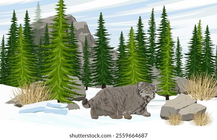 Pallas's cat walking in the snow. Spruce forest at the foot of the mountains. Wild animals of Asia in winter. Realistic vector landscape