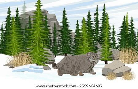 Pallas's cat walking in the snow. Spruce forest at the foot of the mountains. Wild animals of Asia in winter. Realistic vector landscape