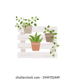 Pallet flowers, garden or home recycled decor. Isolated potted houseplants on wooden shelf. Summer exterior illustration. Vector textured elements in shabby style. 