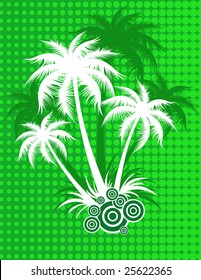 Palm