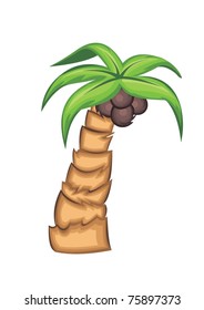 palm
