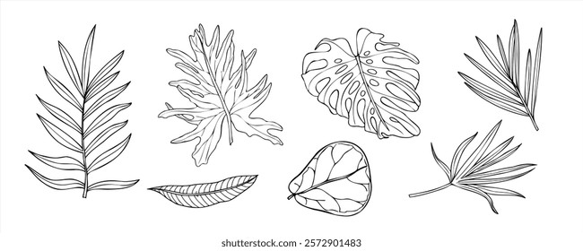 Palm areca, monstera, Ficus deixa ilustração vetor pintado por tintas pretas em fundo isolado. As plantas tropicais definem o desenho linear no estilo de gravação. Folhagem de selva para design de saudação, rótulo.