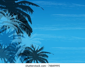 palm background