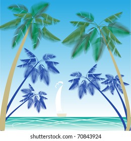 Palm Beach