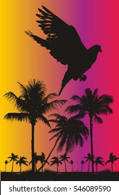 Palm beach graphic design vector art