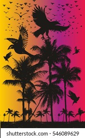 Palm beach graphic design vector art