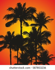 Palm beach graphic design vector art