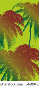 palm beach label graphic design vector art