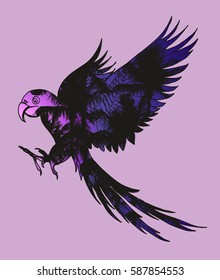 Palm beach and parrot graphic design vector art