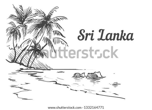 パームビーチスリランカ島手描き 白い背景にスリランカのスケッチベクターイラスト のベクター画像素材 ロイヤリティフリー