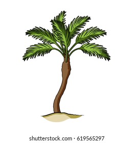 Palm beach tree.Summer rest single icon in cartoon style vector symbol stock illustration.