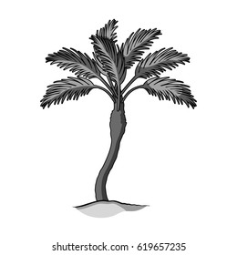 Palm beach tree.Summer rest single icon in monochrome style vector symbol stock illustration.