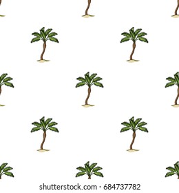 Palm beach tree.Summer rest single icon in cartoon style vector symbol stock illustration.