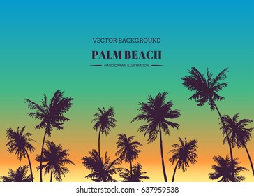 Palm beach. Vector hand drawn background for tropical design. Sketch illustration with trees on sunset