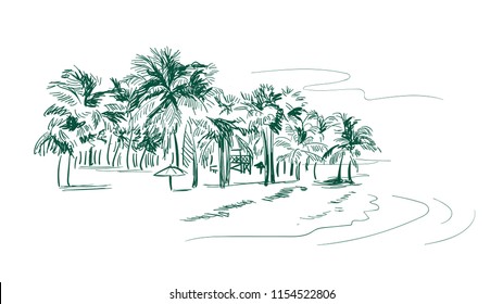 palm beach vector sketch landscape line illustration skyline