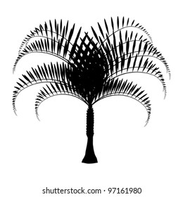 Palm black