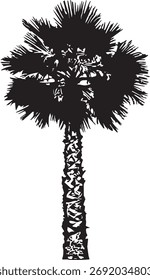 Palmeira. Gráficos em preto-e-branco sobre um fundo branco