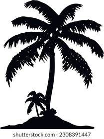 Palm Black and White Nature