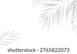Palm Branch AndI solated White Background, Vector Illustration