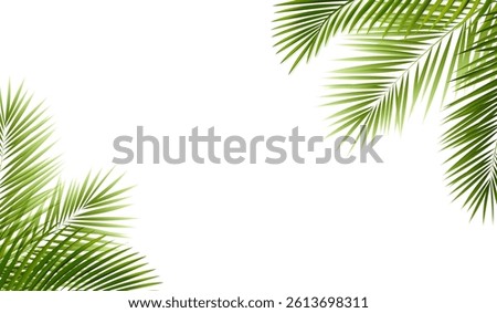 Palm Branch Border And Isolated White Background With Gradient Mesh, Vector Illustration