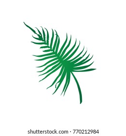 palm branch drawing