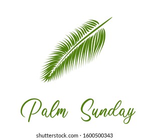 Palm branch. The entry of jesus into jerusalem. Palm Sunday.