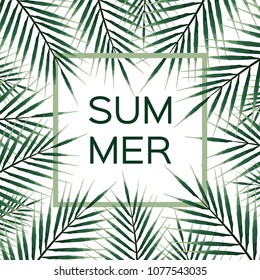 Palm branch frame. Summer vector background with green palm tree frame.