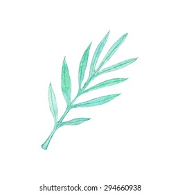 Palm branch. Hand-drawn leaves. Real watercolor drawing. Vector illustration. 