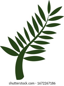 Palm branch, illustration, vector on white background.