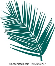 palm branch isolated hand drawn vector illustration. Green tropical branch silhouette outline leaves vacation travel