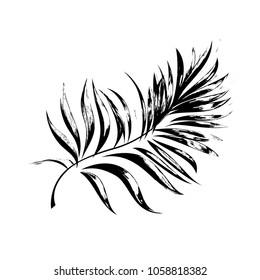 Palm branch. Isolated vector image.