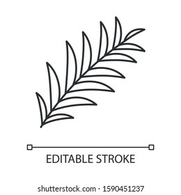 Palm Branch Linear Icon. Tropical Tree Leafs. Symbol Of Victory, Peace. Easter Sign. Spring Religious Holiday. Thin Line Illustration. Contour Symbol. Vector Isolated Outline Drawing. Editable Stroke