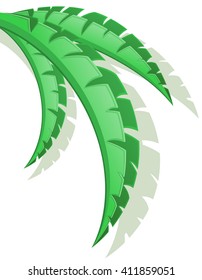 palm branch vector illustration isolated on white background