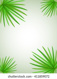 palm branch vector illustration isolated on white background